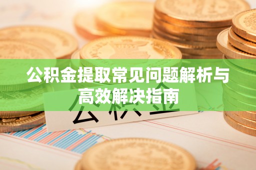 内埔公积金提取常见问题解析与高效解决指南
