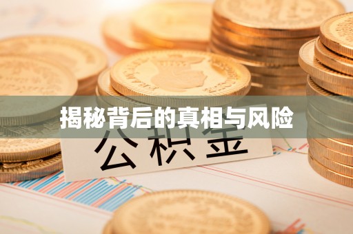 内埔揭秘背后的真相与风险