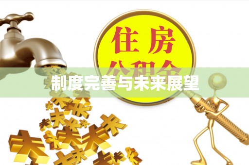 内埔制度完善与未来展望