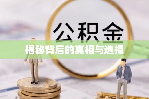 内埔揭秘背后的真相与选择