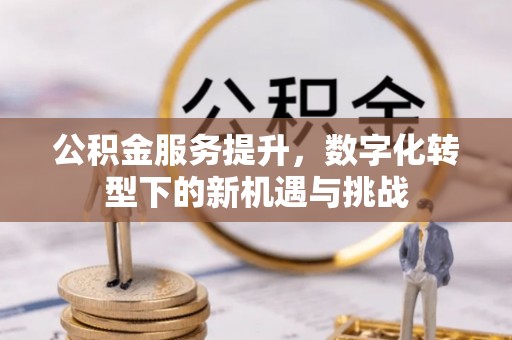 内埔公积金服务提升，数字化转型下的新机遇与挑战