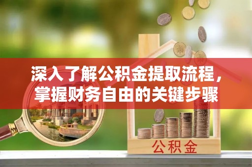 内埔深入了解公积金提取流程，掌握财务自由的关键步骤