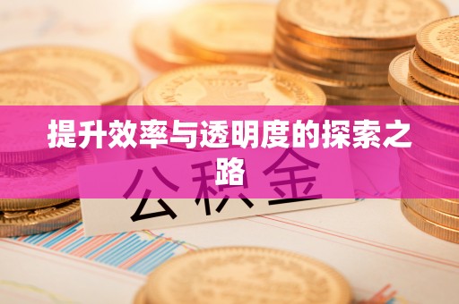 内埔提升效率与透明度的探索之路