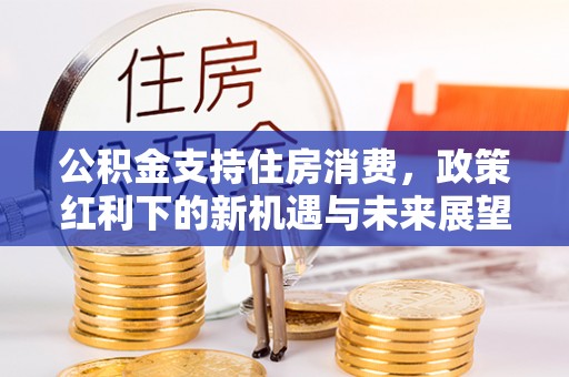 内埔公积金支持住房消费，政策红利下的新机遇与未来展望
