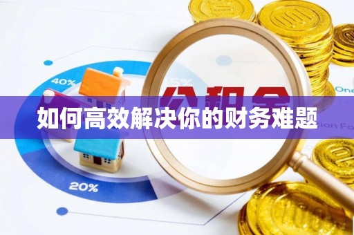 内埔如何高效解决你的财务难题