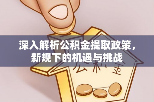 内埔深入解析公积金提取政策，新规下的机遇与挑战