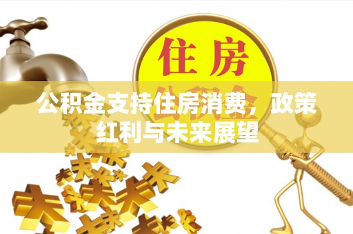 内埔公积金支持住房消费，政策红利与未来展望