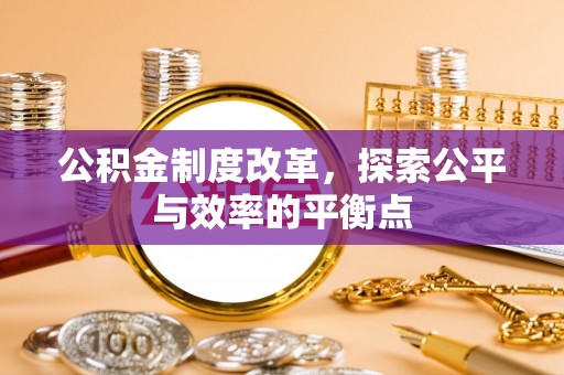 内埔公积金制度改革，探索公平与效率的平衡点
