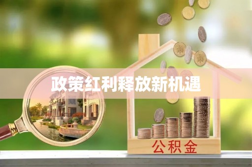 内埔政策红利释放新机遇