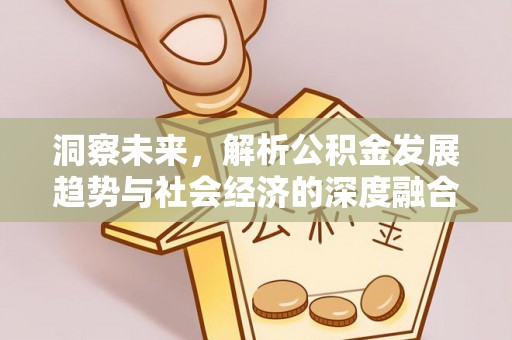 内埔洞察未来，解析公积金发展趋势与社会经济的深度融合