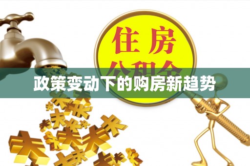 内埔政策变动下的购房新趋势