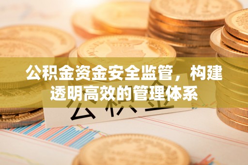 内埔公积金资金安全监管，构建透明高效的管理体系