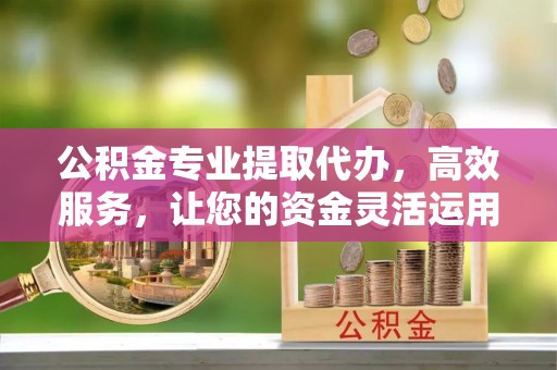 内埔公积金专业提取代办，高效服务，让您的资金灵活运用