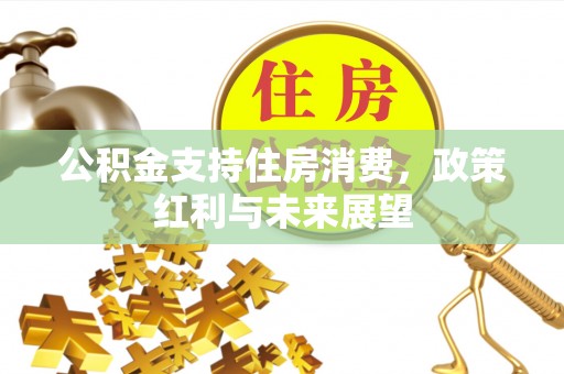 内埔公积金支持住房消费，政策红利与未来展望