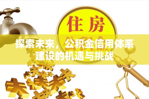 内埔探索未来，公积金信用体系建设的机遇与挑战