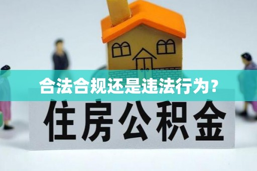 内埔合法合规还是违法行为？