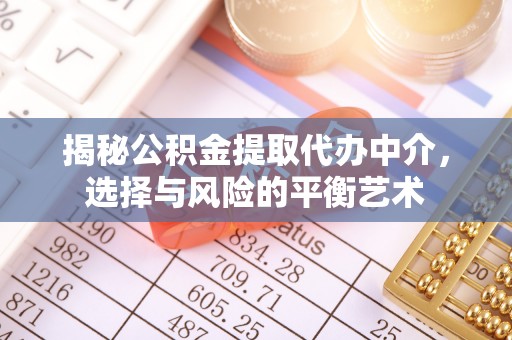 内埔揭秘公积金提取代办中介，选择与风险的平衡艺术