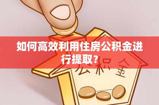 内埔如何高效利用住房公积金进行提取？