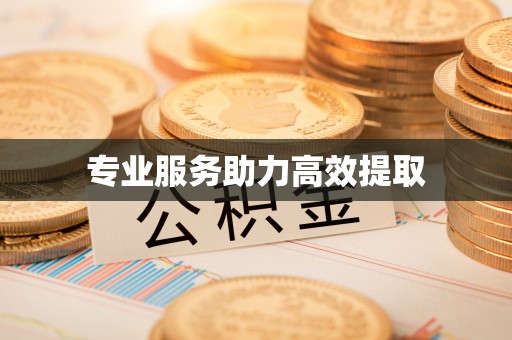内埔专业服务助力高效提取