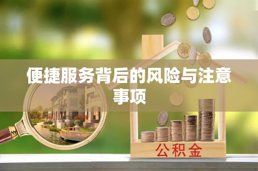 内埔便捷服务背后的风险与注意事项