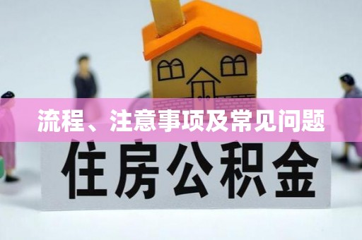 内埔流程、注意事项及常见问题